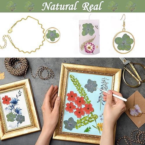 60PCS Green Dried Double Hydrangea for Resin Crafts