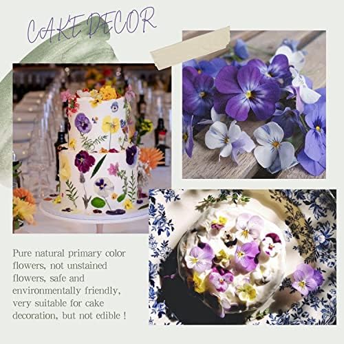 48 Pcs Mix Natural Dried Johnny Jump Up Flowers for Crafts