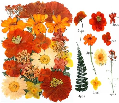 25Pcs Real Dried Flowers for Resin Art Crafts