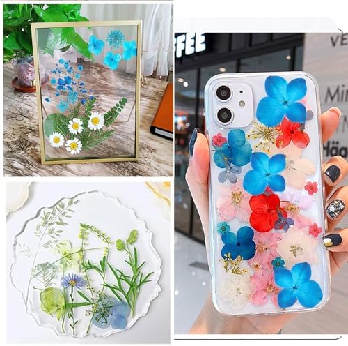 40 Pcs Dried Pressed Flowers Resin Art Craft Decor