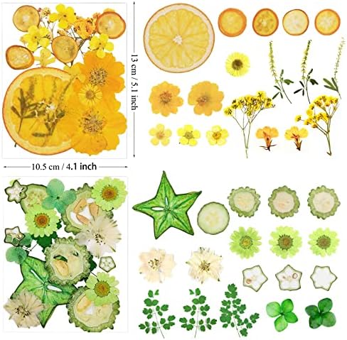 Pressed Dried Flowers Fruits Resin Molds 75 Pieces Assorted