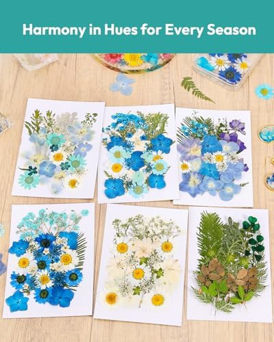 174 Pcs Dried Flowers Pressed for Crafts