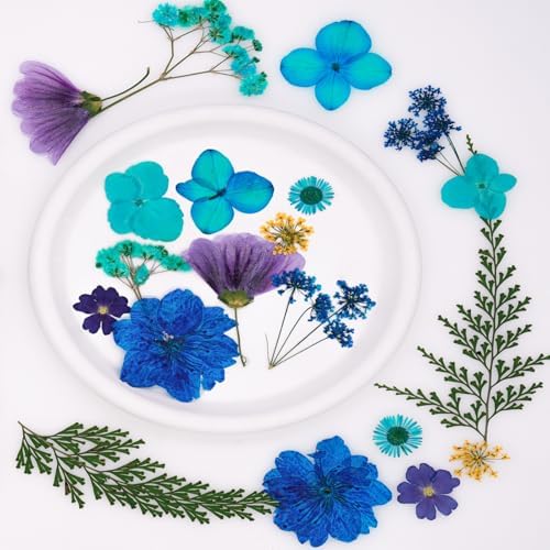 30 Pcs Dried Flowers Leaves Resin Crafting Decor