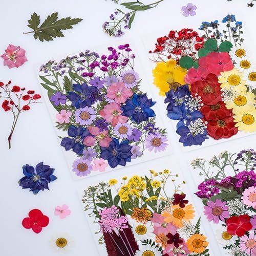 35Pcs Dried Pressed Flowers for Resin DIY Art Crafts