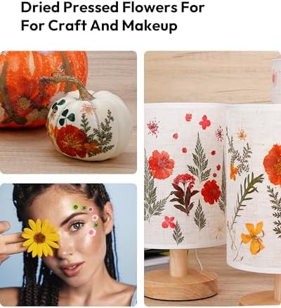100 Pcs Dried Flowers for Resin Crafts and DIY Projects