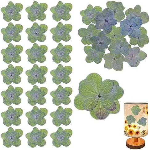 60PCS Green Dried Double Hydrangea for Resin Crafts