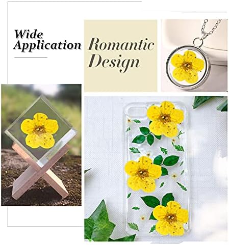 Pressed Dried Flowers 60PCS Yellow Plum Blossom for Resin Crafting and Scrapbooking