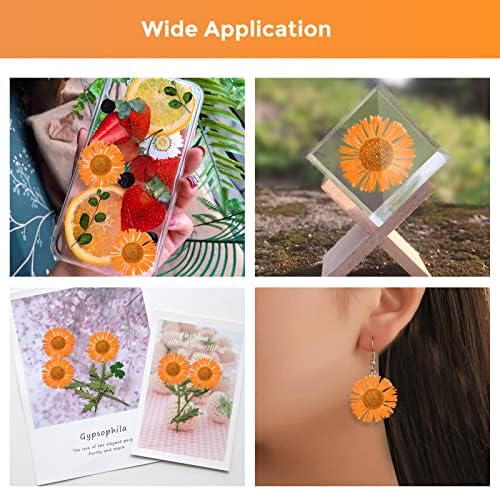60PCS Dried Chrysanthemum Flowers for Resin Crafts
