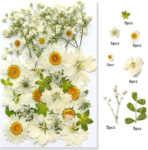 36Pcs Dried Pressed Flowers for Resin DIY Art Crafts