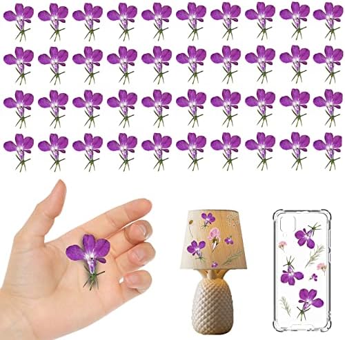 Purple Dried Flowers for Resin Crafts 60PCS