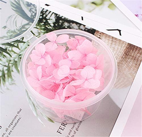 Natural Dried Flowers Hydrangea Pressed Scrapbooking Embellishments Dark Pink