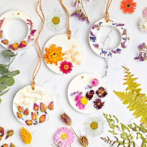 160 Pcs Dried Flowers Pressed Real Flowers for Resin Crafts