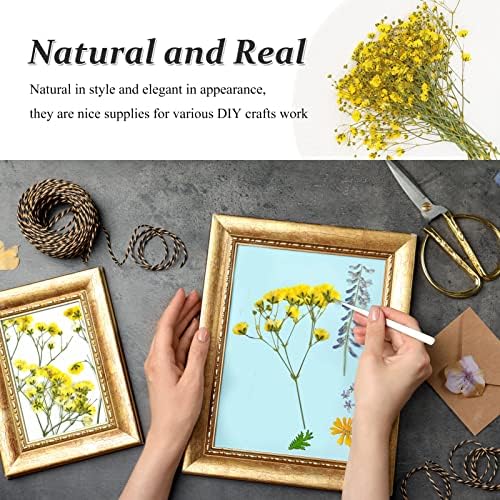 Yellow Natural Dried Gypsophila Flowers for Resin Art 42PCS