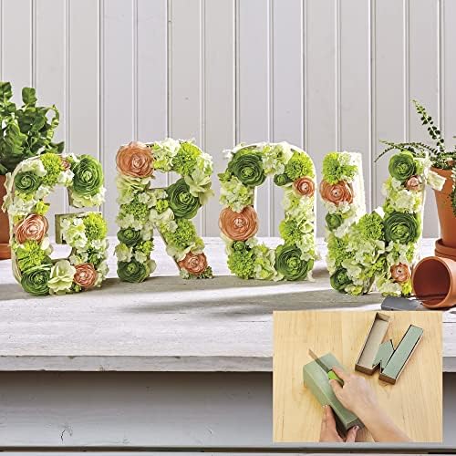 FloraCraft Floral Desert Dry Foam 6 Piece Green