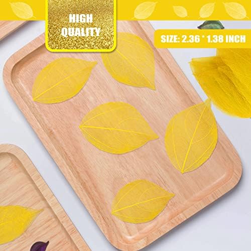 Natural Skeleton Leaf Veins for Resin Art 42PCS