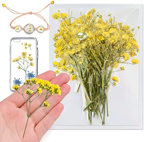 Yellow Natural Dried Gypsophila Flowers for Resin Art 42PCS