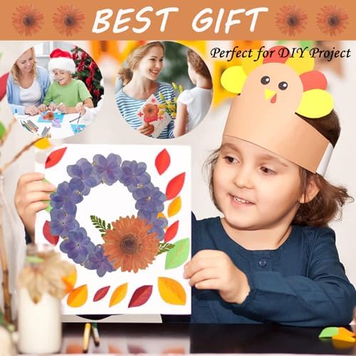 ALJ Large Dried Sunflowers for Resin Crafts Embellishment