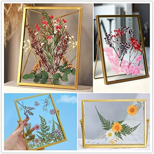 Vignee Real Dried Pressed Flower Daisies for Resin Jewelry Craft DIY