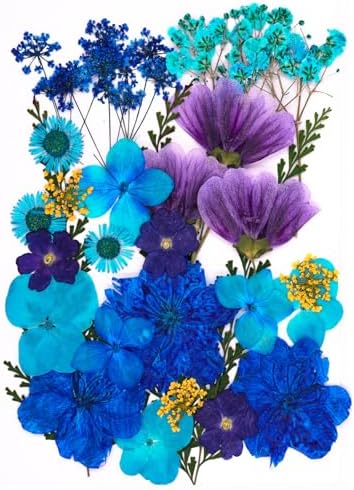 30 Pcs Dried Flowers Leaves Resin Crafting Decor
