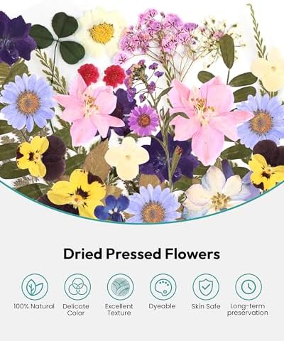 58 Pcs Dried Flowers Pressed Flowers Craft Kit