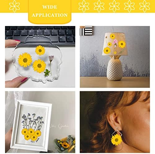 Yellow Dried Flowers Little Daisy for Resin Crafts 60PCS
