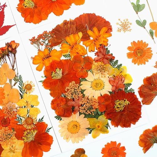 25Pcs Real Dried Flowers for Resin Art Crafts