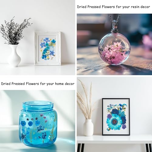 100 Pcs Dried Pressed Flowers for Epoxy Resin Jewelry and Scrapbooking