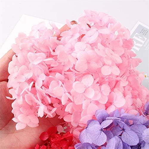Natural Dried Flowers Hydrangea Pressed Scrapbooking Embellishments Dark Pink