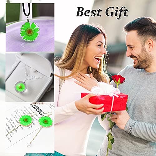 60PCS Dried Pressed Daisy Flowers for DIY Crafts