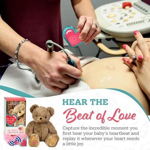 My Babys Heartbeat Bear Voice Recorder