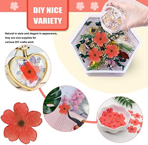 Red Dried Cherry Blossom Flowers for Resin Crafts 60PCS
