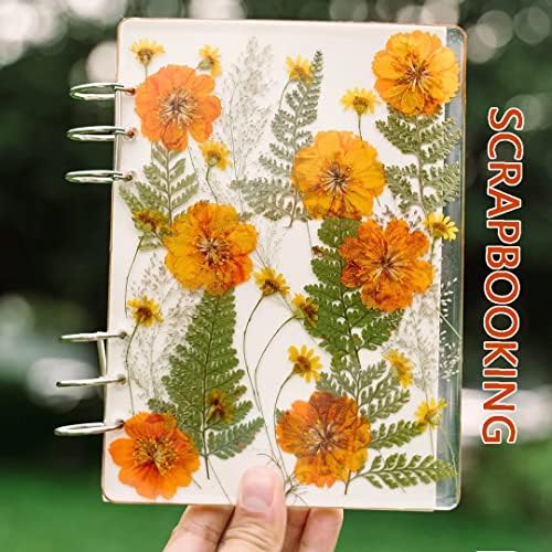 Yellow Sunflowers Big Dried Flowers for Resin Mold Craft