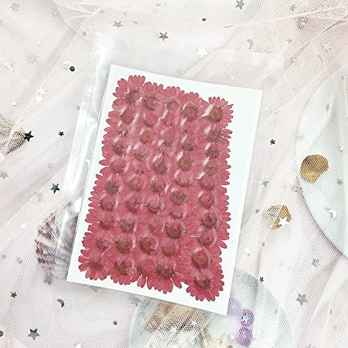 50pcs Natural Dried Daisy Flower for Crafting and Decoration