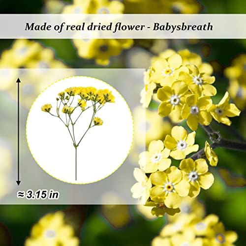 Yellow Natural Dried Gypsophila Flowers for Resin Art 42PCS