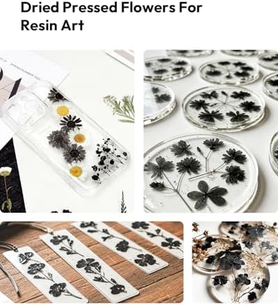 Dried Flowers Pressed Flowers Craft Kit for Scrapbooking DIY