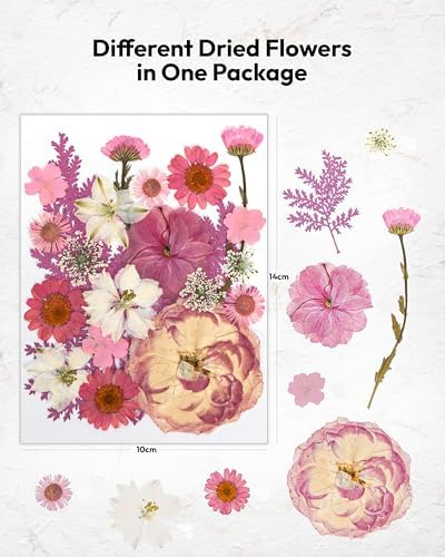 100 Pcs Dried Flowers for Resin Crafts and DIY Projects