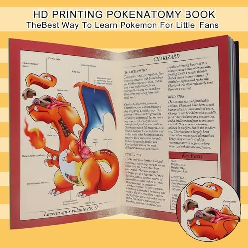 Pokenatomy Envelopes Binder for Christmas Birthday Gifts