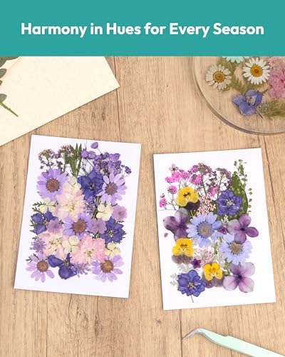 58 Pcs Dried Flowers Pressed Flowers Craft Kit
