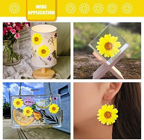 60PCS Yellow Dried Sunflowers for DIY Crafts