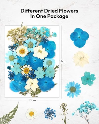 174 Pcs Dried Flowers Pressed for Crafts