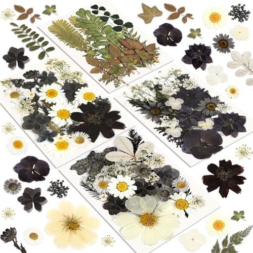 Dried Flowers Pressed Flowers Craft Kit for Scrapbooking DIY
