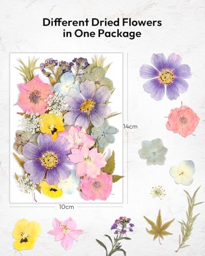 Resiners 174Pcs Dried Flowers Pressed for Crafts
