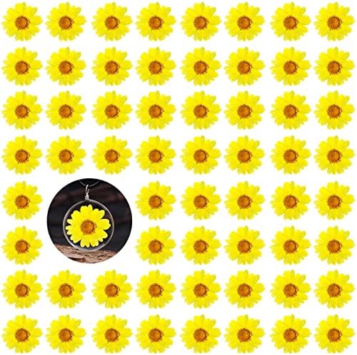 60PCS Yellow Dried Sunflowers for DIY Crafts