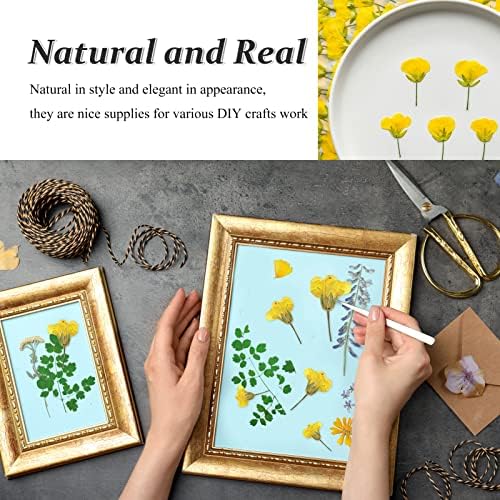60PCS Yellow Pressed Rapeseed Flowers for Resin Crafts
