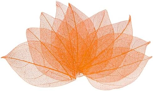 M Meterxity 100-Pack Skeleton Leaves Orange