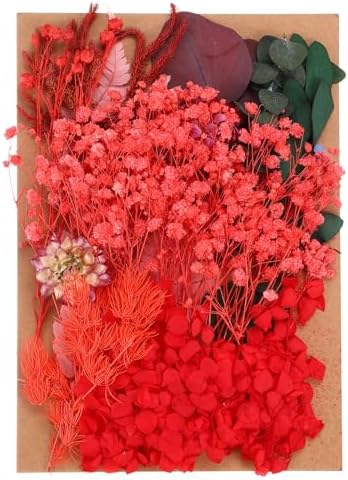 PATIKIL Red Dried Flowers for Resin Soap Candle Craft