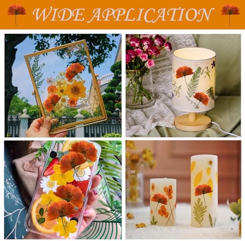 HEISENLIN Orange Dried Cosmos Flowers 42PCS for Resin Jewelry DIY Crafts