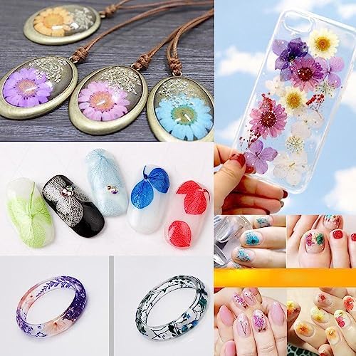 72 pcs 3D Dried Flowers for Nail Art and Resin