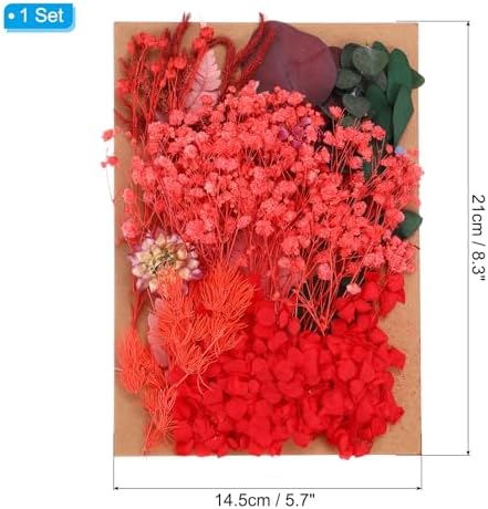 PATIKIL Red Dried Flowers for Resin Soap Candle Craft