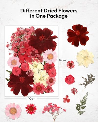 Resiners Cherry Dried Flowers 174pcs Craft Kit